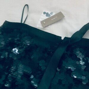 J.Crew Satin Bow Paillette Sequin Green Skirt